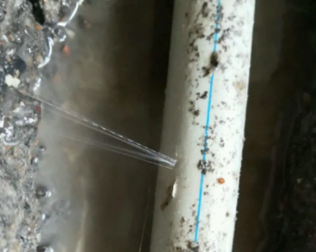 海东卫生间测漏水多少钱